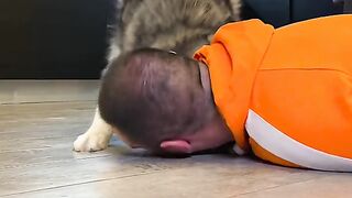 Собака спасает