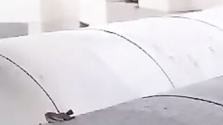 This guy is super excited to have his first encounter with an owl.