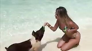 Hungry hungry piggy!