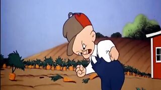 Rabbit funny || Classic Cartoon√