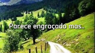 Motivaçaodiaria