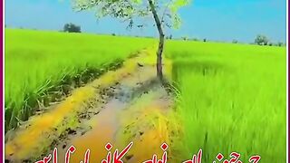 Dard dil/ voice of heart/ Ialamic video