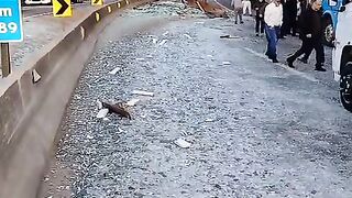Carreta  solta carga de vidro em rodovia
