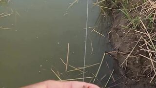 In the rice field ditch, I caught a big catfish