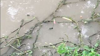 The sorrow of fishing in the gutter with friends