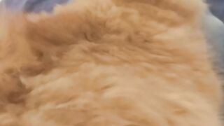 Video9 2