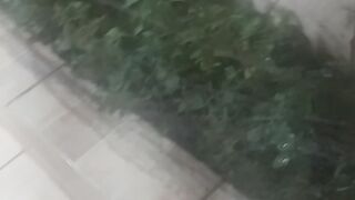 Canal 11