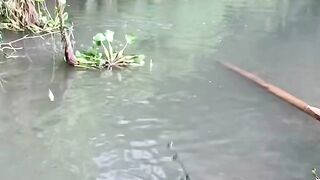 Fishing in wild rivers for any fish