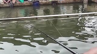 The struggle of fishing in a crowded pond