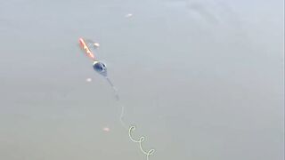 Baru aja umpan di celupin ke empang langsung disambar ikan lele