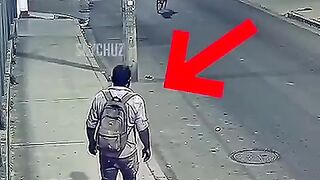 Cachorro ajuda pedestre, se livrar do perigo.