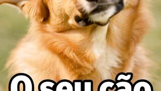 O Segredo da Linguagem dos Cães