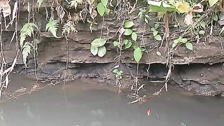 The throw into the swamp was immediately greeted by small fish.
