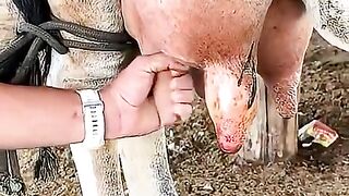 CUIDANDO DA LEITICIA