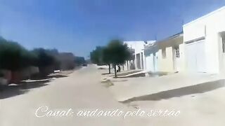 Feiras de cabrito
