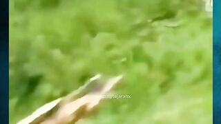 Dikejar Harimau Saat Naik Motor!