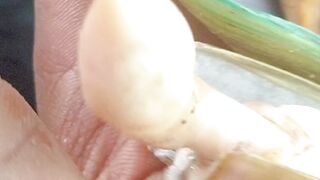 Razor clams and green mussels look like something.