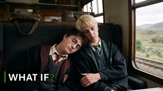 What If Harry Accidentally Fell Asleep on Draco During a Train Ride?