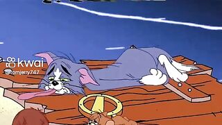 Gato e o rato
