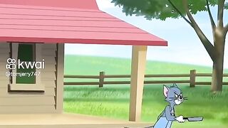 O gato 2