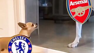 🔥 Arsenal kembali menunjukkan dominasinya atas Chelsea! 2