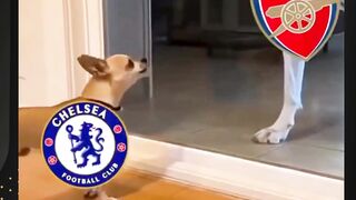 🔥 Arsenal kembali menunjukkan dominasinya atas Chelsea! 3