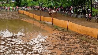 गावातली जत्रा