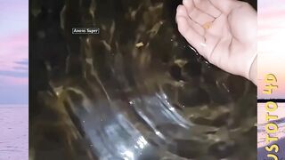 Kengerian Tempat Terdalamversi PLUSTOTO4D