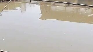 Pemancing sudah siap mengikuti perlombaan