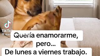 Risas 3