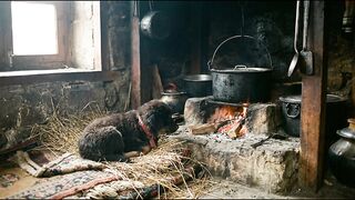 Cachorro tibetano