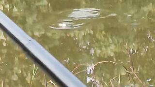 Even though the fish are small, you can catch a lot of them