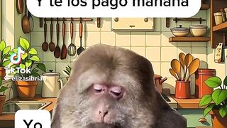 Comedia 12