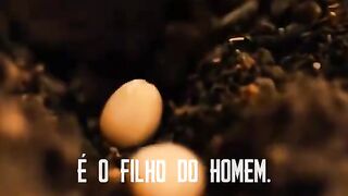 Frase bíblicas e citação