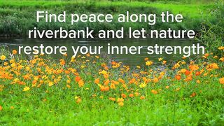 Find peace along the riverbank and let nature restore your inner strength