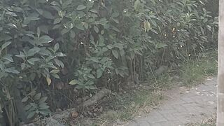 Edukasi, Motivasi, Inspirasi, Faktaunik, Quotes, febspot video, viral, fyp, shorts 55