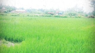 #farmer life 🧬👨🏻‍🌾🌾
