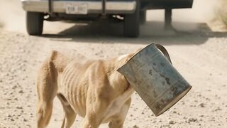 Dog in trap part 6