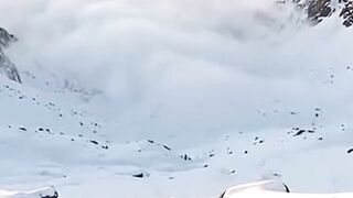 Red Fox’s Secret Snow Hunting Trick 🦊❄️