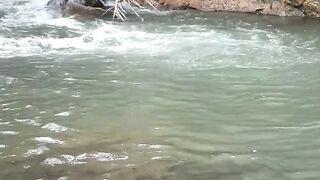 This river is full of wild fish.