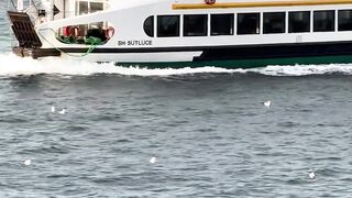 Ferry boat