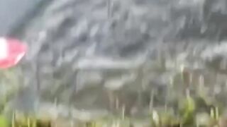 MARIDO SONHADO COM PEIXE