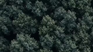 O rei lobo rejeitado Episódio 1