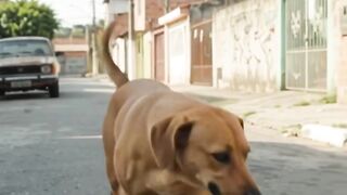 Quem gosta de caramelo