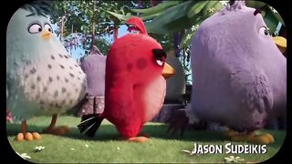 Funny Angry Bird Moments