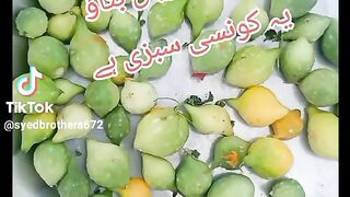 papa ki paryun