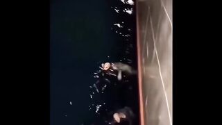 Mermaids swimming.