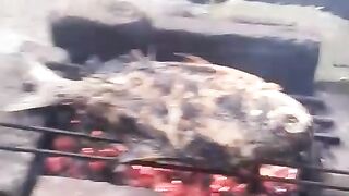 Mukbang ikan hasil tangkapan
