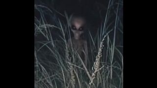 Humanoid being spotted around a property