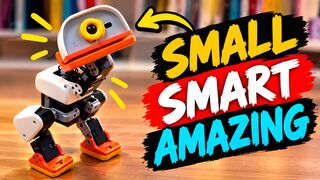 They've released a little robot you can train at home